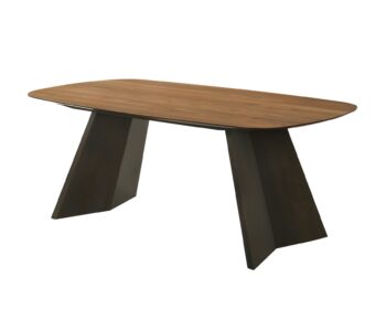 Masa Vigo 200x100x76 cm